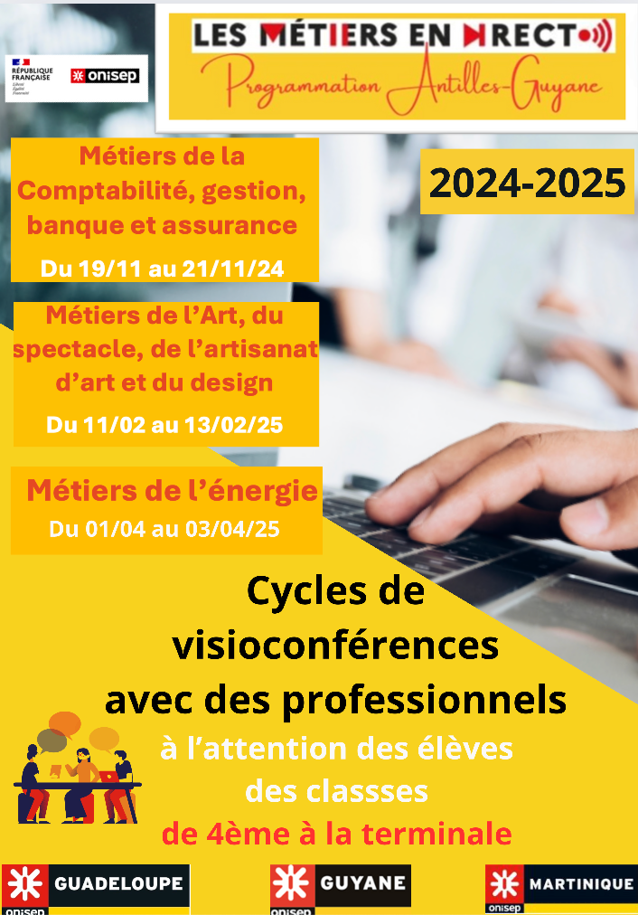 Cycles de visioconférences avec des professionnels à l'attention des élèves des classes de 4ème à la terminale